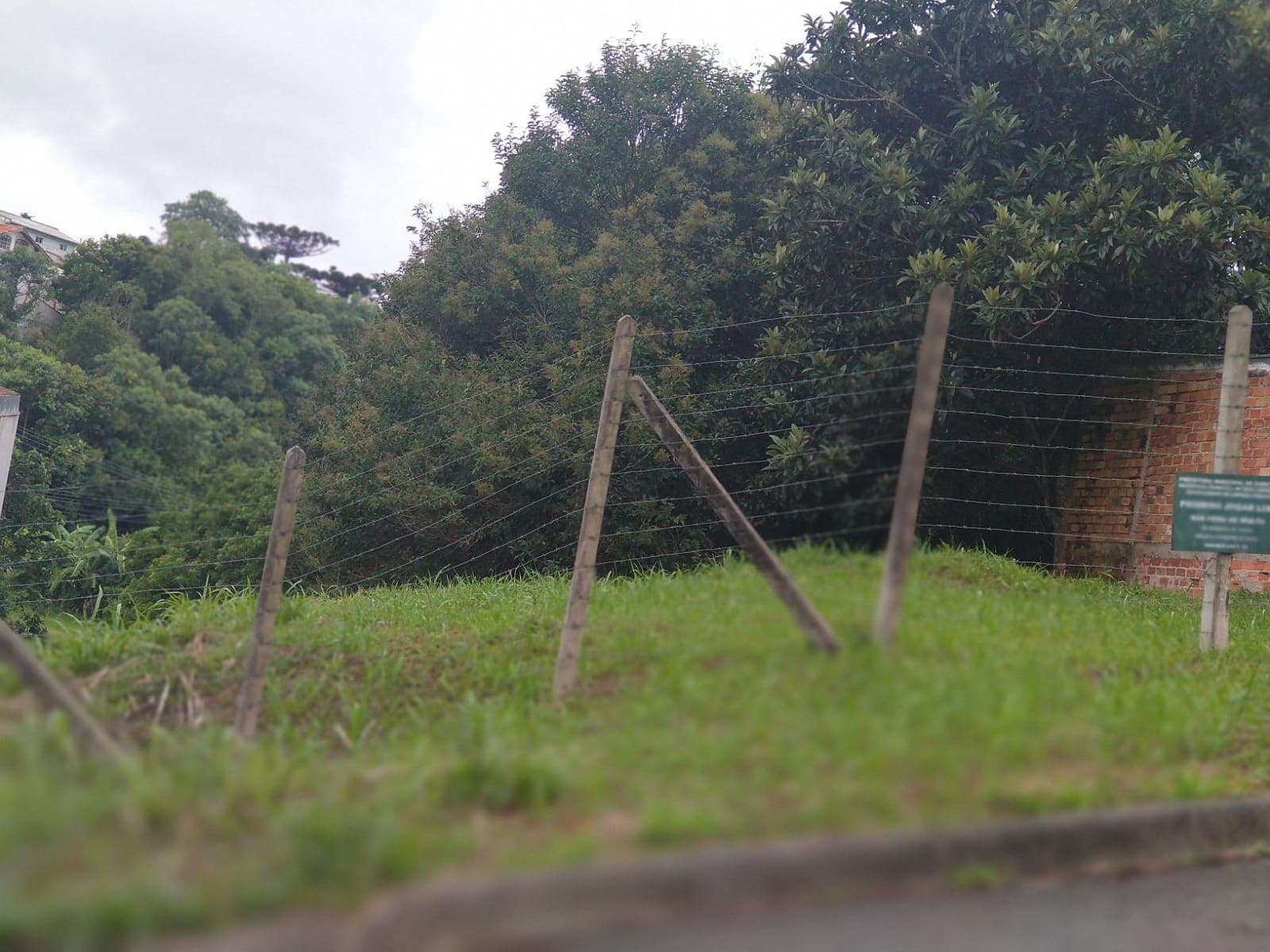 Terreno à venda, 556 m²  no Pilarzinho  — foto 1